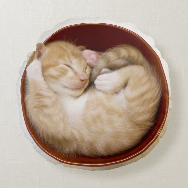 Sleeping Kitten Rond Kussen (Voorkant)