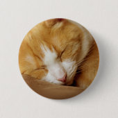 Sleeping Kitten Ronde Button 5,7 Cm (Voorkant)