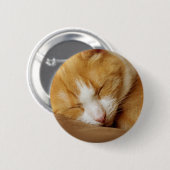 Sleeping Kitten Ronde Button 5,7 Cm (Voorkant /achterkant)