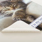 Sleeping Kitten Sherpa Deken (3/4)