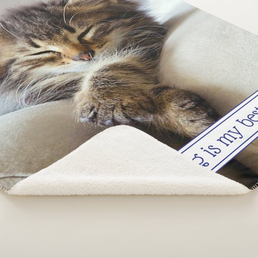 Sleeping Kitten Sherpa Deken (3/4)