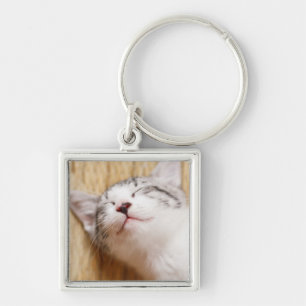 Sleeping Kitten Sleutelhanger