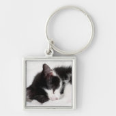 Sleeping Kitten Sleutelhanger (Voorkant)