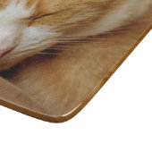 Sleeping Kitten Snijplank (Hoek)