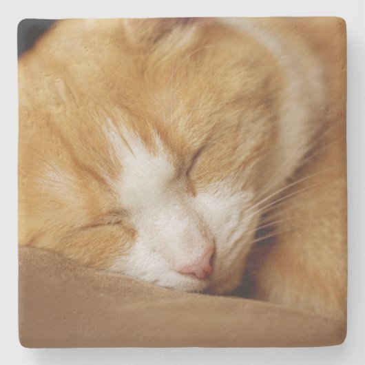 Sleeping Kitten Stenen Onderzetter (Voorkant)