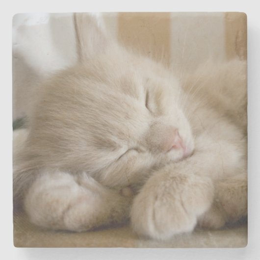 Sleeping Kitten Stenen Onderzetter (Voorkant)