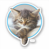 Sleeping Kitten Sticker (Voorkant)