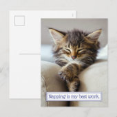 Sleeping Kitten Uitnodiging Briefkaart (Voorkant / Achterkant)