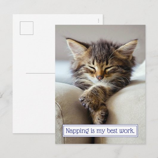 Sleeping Kitten Uitnodiging Briefkaart (Voorkant / Achterkant)