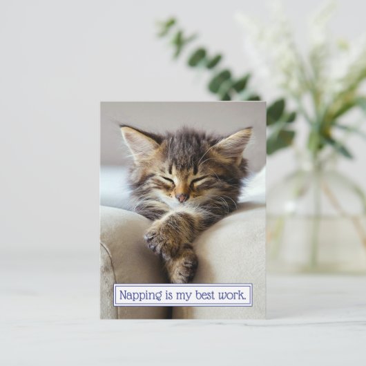 Sleeping Kitten Uitnodiging Briefkaart (Staand voorkant)