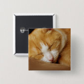 Sleeping Kitten Vierkante Button 5,1 Cm (Voorkant /achterkant)