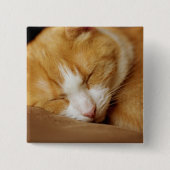Sleeping Kitten Vierkante Button 5,1 Cm (Voorkant)