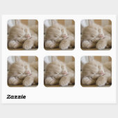 Sleeping Kitten Vierkante Sticker (Vel)