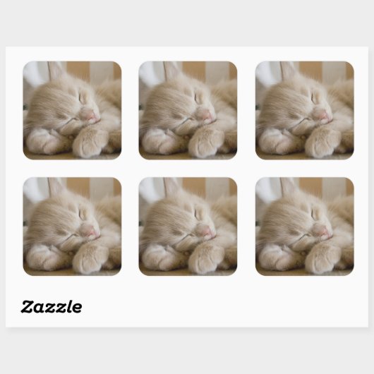 Sleeping Kitten Vierkante Sticker (Vel)