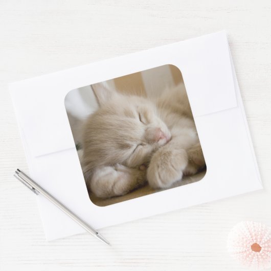 Sleeping Kitten Vierkante Sticker (Envelop)