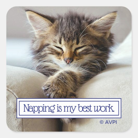 Sleeping Kitten Vierkante Sticker (Voorkant)