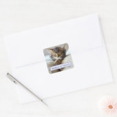 Sleeping Kitten Vierkante Sticker (Envelop)