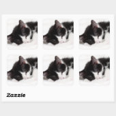 Sleeping Kitten Vierkante Sticker (Vel)