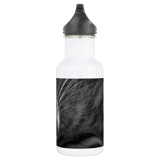 Sleeping Kitten Waterfles (Rechts)