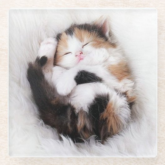Sleeping Kitty Cat Onderzetter (Voorkant)