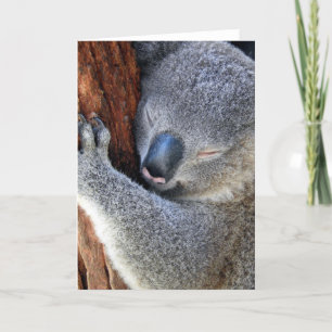 Sleeping Koala Feestdagen Kaart