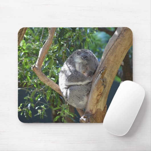 Sleeping Koala Foto Muismat (Met muis)