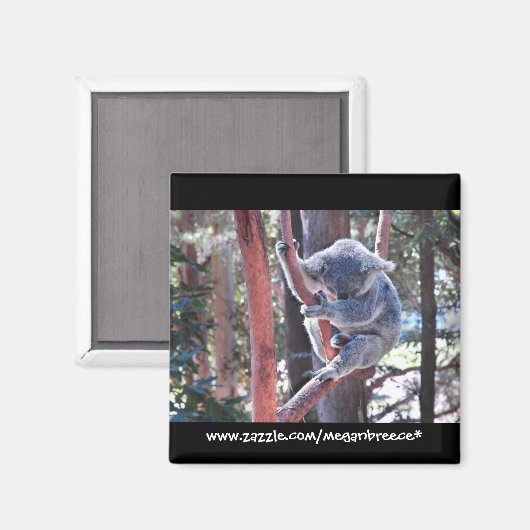 Sleeping Koala Magneet (Voorkant / Achterkant)
