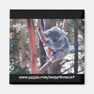 Sleeping Koala Magneet