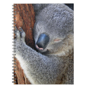 Sleeping Koala Notitieboek