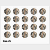 Sleeping Koala Ronde Sticker (Vel)