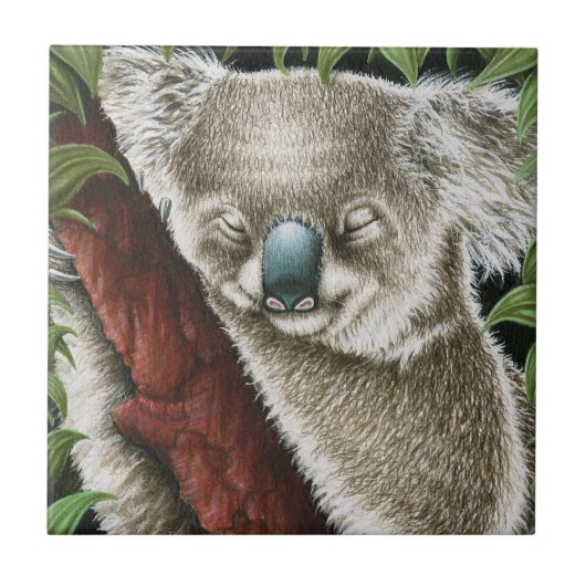 Sleeping Koala Tile Tegeltje (Voorkant)