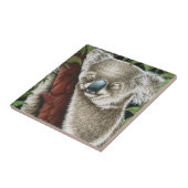 Sleeping Koala Tile Tegeltje (Zijkant)