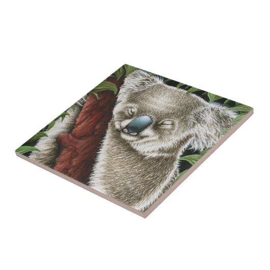 Sleeping Koala Tile Tegeltje (Zijkant)