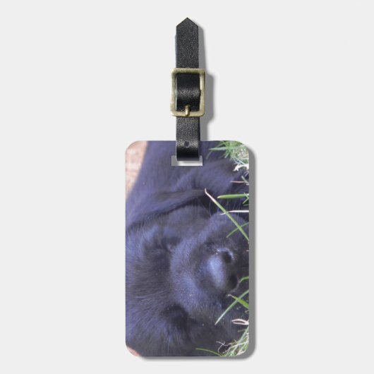 Sleeping Labrador Puppy Bagagelabel (Voorkant verticaal)