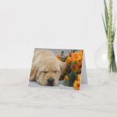 Sleeping Labrador Puppy met bloemen Notitiekaartje (Voorkant)
