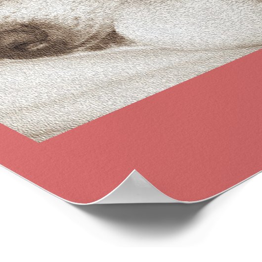 sleeping old akita dog animal sympathy poem poster (Hoek)