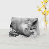Sleeping Pig Black and White Photo - Blank Cards Kaart (Gele Bloem)