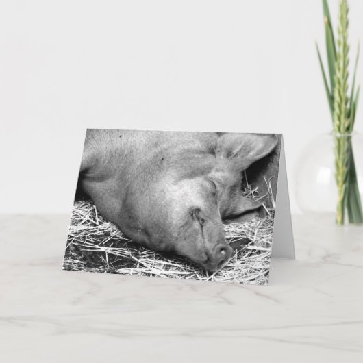Sleeping Pig Black and White Photo - Blank Cards Kaart (Voorkant)