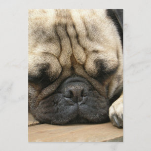 Sleeping Pug-uitnodiging Kaart