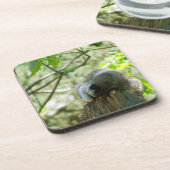 Sleeping Raccoon Stickers Bier Onderzetter (Linkerzijde)