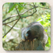 Sleeping Raccoon Stickers Bier Onderzetter (Voorkant)