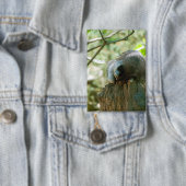 Sleeping Raccoon Stickers Button (Insitu)