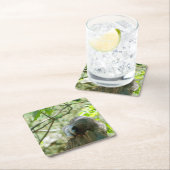 Sleeping Raccoon Stickers Kartonnen Onderzetters (Insitu)