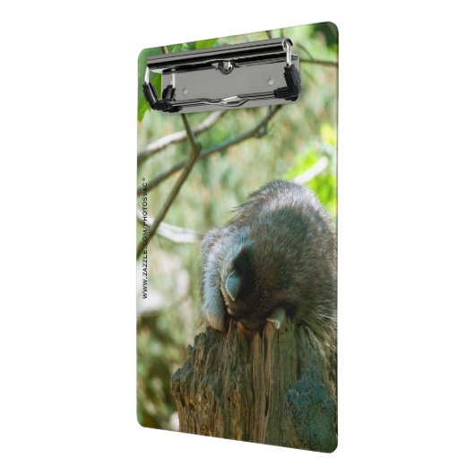 Sleeping Raccoon Stickers Mini Klembord (Angled2)