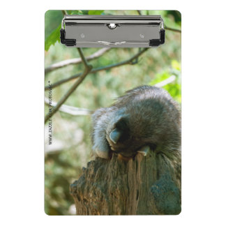 Sleeping Raccoon Stickers Mini Klembord