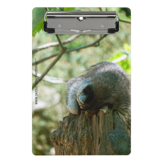 Sleeping Raccoon Stickers Mini Klembord (Voorkant)