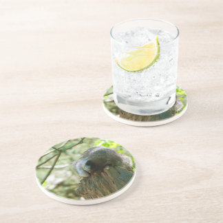 Sleeping Raccoon Stickers Zandsteen Onderzetter