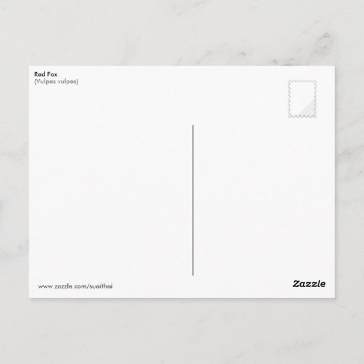Sleeping Red Fox Briefkaart (Achterkant)