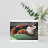 Sleeping Red Panda Briefkaart (Staand voorkant)