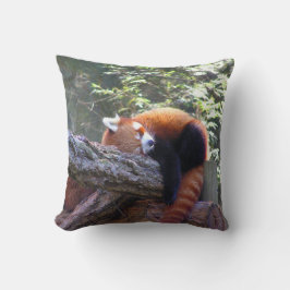 Sleeping Red Panda Kussen
